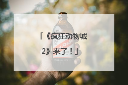 《疯狂动物城2》来了！