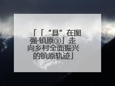 「“县”在图强·镇原③」走向乡村全面振兴的镇原轨迹