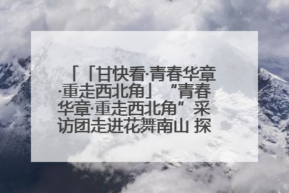 「甘快看·青春华章·重走西北角」“青春华章·重走西北角”采访团走进花舞南山 探寻天水乡村振兴之路