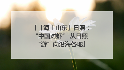 「海上山东」日照：“中国对虾” 从日照“游”向沿海各地