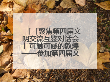 「聚焦第四届文明交流互鉴对话会」可触可感的敦煌——参加第四届文明交流互鉴对话会的外宾参观上元市集