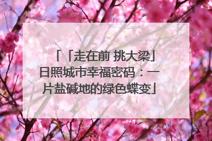 「走在前 挑大梁」日照城市幸福密码：一片盐碱地的绿色蝶变