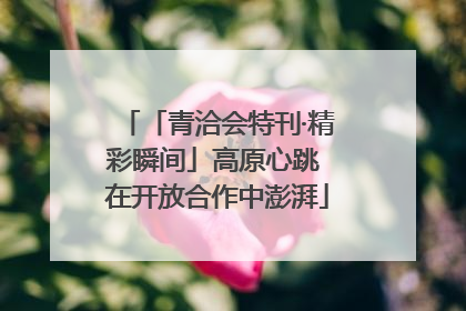 「青洽会特刊·精彩瞬间」高原心跳 在开放合作中澎湃