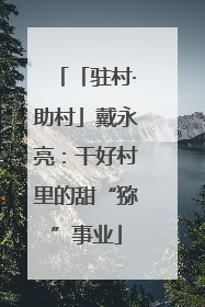 「驻村·助村」戴永亮：干好村里的甜“猕”事业