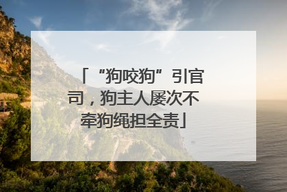 “狗咬狗”引官司，狗主人屡次不牵狗绳担全责