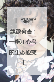 “猫耳”飘散荷香：一座江心岛的生态蜕变