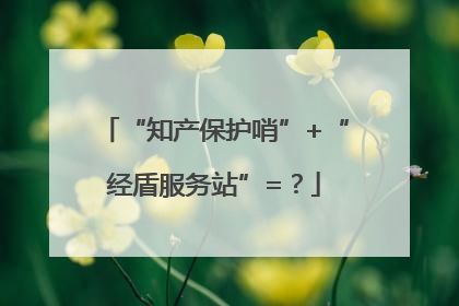 “知产保护哨”+“经盾服务站”=？