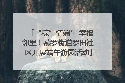 “粽”情端午 幸福邻里！燕罗街道罗田社区开展端午游园活动