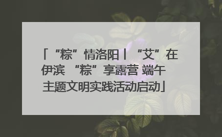 “粽”情洛阳丨“艾”在伊滨 “粽”享露营 端午主题文明实践活动启动