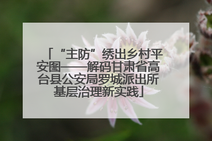 “主防”绣出乡村平安图——解码甘肃省高台县公安局罗城派出所基层治理新实践