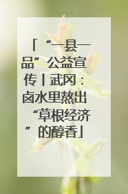 “一县一品”公益宣传丨武冈：卤水里熬出“草根经济”的醇香