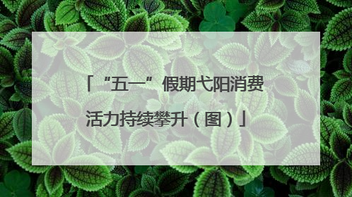 “五一”假期弋阳消费活力持续攀升（图）