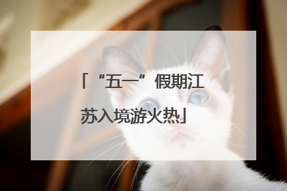 “五一”假期江苏入境游火热