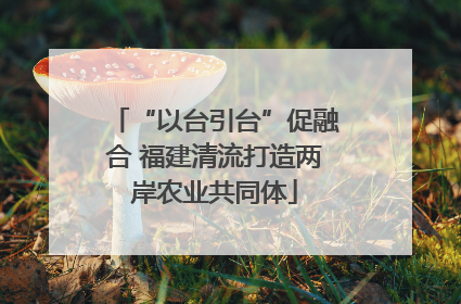 “以台引台”促融合 福建清流打造两岸农业共同体