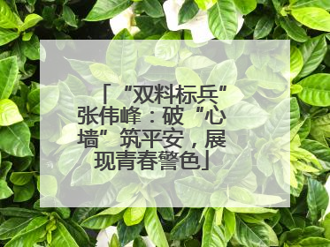 “双料标兵”张伟峰：破“心墙”筑平安，展现青春警色