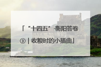 “十四五”·衡阳答卷③｜收粮时的小插曲