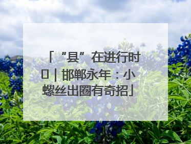 “县”在进行时⑬｜邯郸永年：小螺丝出圈有奇招