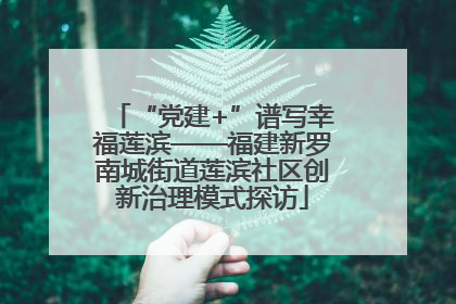 “党建+”谱写幸福莲滨——福建新罗南城街道莲滨社区创新治理模式探访