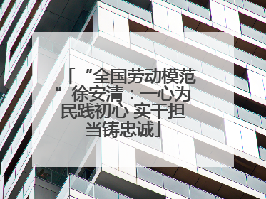 “全国劳动模范”徐安清：一心为民践初心 实干担当铸忠诚