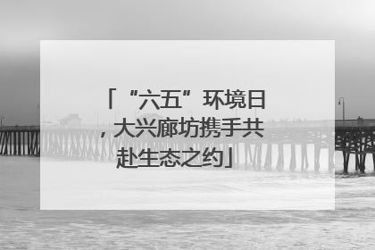 “六五”环境日，大兴廊坊携手共赴生态之约
