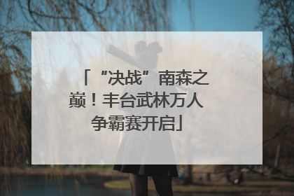 “决战”南森之巅！丰台武林万人争霸赛开启