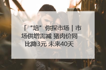 “培”你探市场｜市场供增需减 猪肉价同比降3元 未来40天便宜猪肉敞开吃