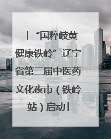 “国粹岐黄 健康铁岭”辽宁省第二届中医药文化夜市（铁岭站）启动
