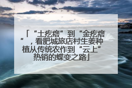 “土疙瘩”到“金疙瘩”，看肥城旅店村生姜种植从传统农作到“云上”热销的蝶变之路