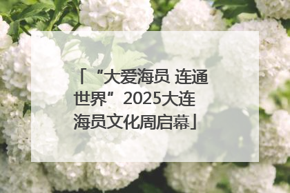 “大爱海员 连通世界”2025大连海员文化周启幕