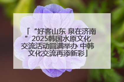 “好客山东 泉在济南”2025韩国水原文化交流活动圆满举办 中韩文化交流再添新彩