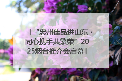 “忠州佳品进山东・同心携手共繁荣”2025烟台推介会启幕