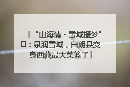 “山海情・雪域援梦”⑪：泉润雪域，白朗县变身西藏最大菜篮子