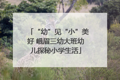 “幼”见“小”美好 峨眉三幼大班幼儿探秘小学生活