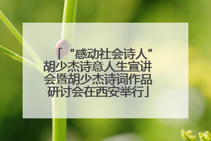 “感动社会诗人”胡少杰诗意人生宣讲会暨胡少杰诗词作品研讨会在西安举行