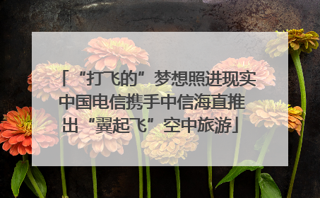 “打飞的”梦想照进现实 中国电信携手中信海直推出“翼起飞”空中旅游