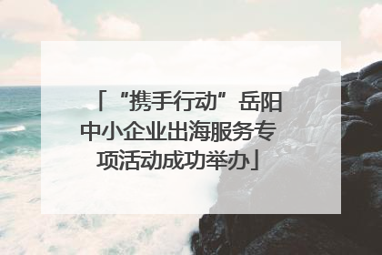 “携手行动”岳阳中小企业出海服务专项活动成功举办
