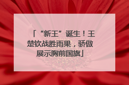 “新王”诞生！王楚钦战胜雨果，骄傲展示胸前国旗