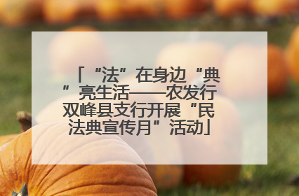 “法”在身边“典”亮生活——农发行双峰县支行开展“民法典宣传月”活动