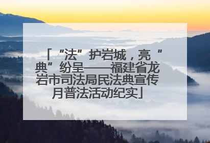 “法”护岩城，亮“典”纷呈——福建省龙岩市司法局民法典宣传月普法活动纪实