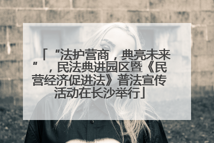 “法护营商，典亮未来”，民法典进园区暨《民营经济促进法》普法宣传活动在长沙举行
