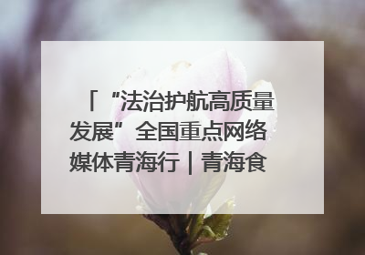 “法治护航高质量发展”全国重点网络媒体青海行｜青海食品工业协会：架起“青字号”美食的产业化桥梁