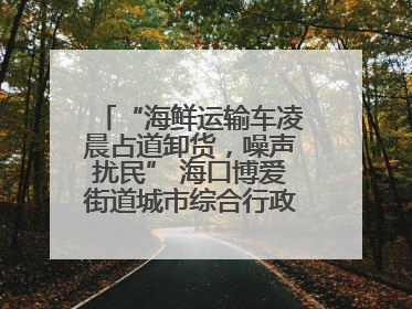 “海鲜运输车凌晨占道卸货，噪声扰民” 海口博爱街道城市综合行政执法中队：将联合交警加强长堤路一带巡逻