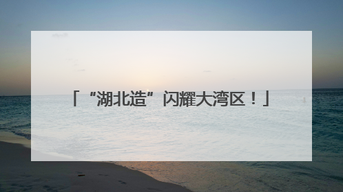 “湖北造”闪耀大湾区！