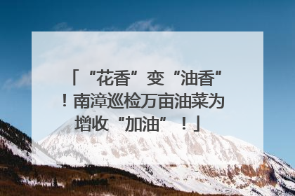 “花香”变“油香”！南漳巡检万亩油菜为增收“加油”！