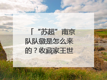 “苏超”南京队队徽是怎么来的？收藏家王世清细说源头