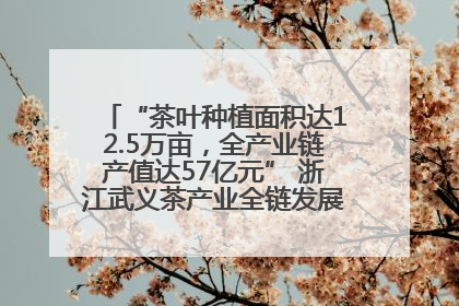 “茶叶种植面积达12.5万亩，全产业链产值达57亿元” 浙江武义茶产业全链发展“加速度”