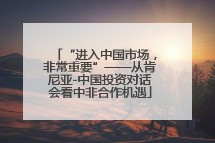 “进入中国市场，非常重要”——从肯尼亚-中国投资对话会看中非合作机遇