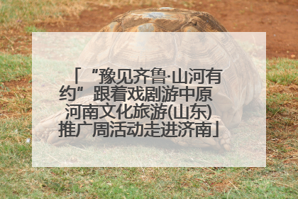 “豫见齐鲁·山河有约”跟着戏剧游中原 河南文化旅游(山东)推广周活动走进济南