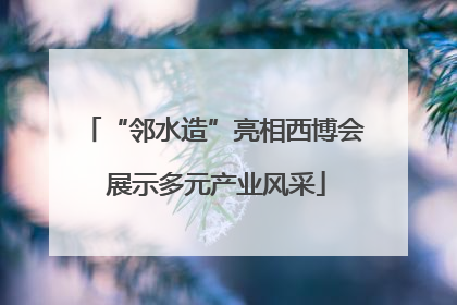 “邻水造”亮相西博会 展示多元产业风采