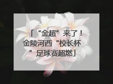 “金超”来了！金陵河西“校长杯”足球赛超燃